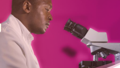 Battling Malaria Secret Threat: The Shocking Truth About Antimalarial Drug Resistance Revealed!