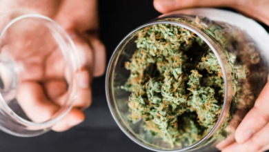 “SHOCKING: Cannabis Users Face Terrifying Heart Risks! Must-Read Revelations Unveiled!”