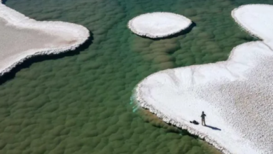 Uncharted Alien-Like Lagoons Discovered in Argentina Desert! Are These Stromatolites a Glimpse into Earth’s Ancient Past or a Clue to Martian Life?”