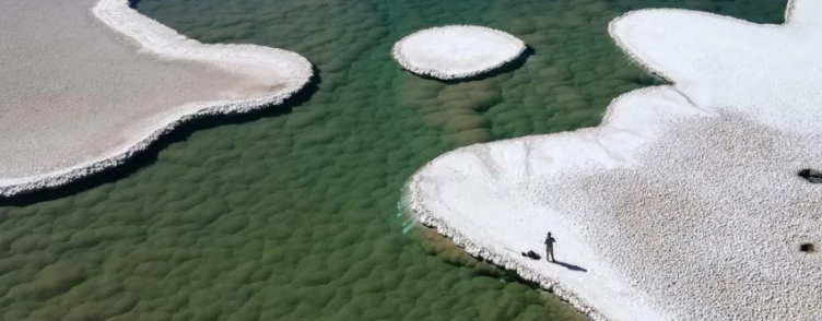 Uncharted Alien-Like Lagoons Discovered in Argentina Desert! Are These Stromatolites a Glimpse into Earth’s Ancient Past or a Clue to Martian Life?”