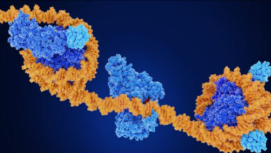 “Decoding Genetic Enigmas: Illuminating Disease Variations through DNA Methylation of Gene Silencers”