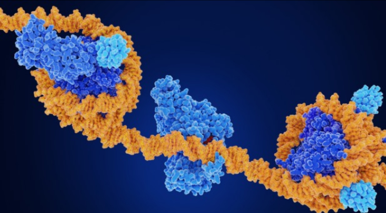 “Decoding Genetic Enigmas: Illuminating Disease Variations through DNA Methylation of Gene Silencers”